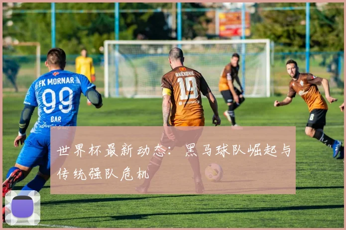 世界杯最新动态：黑马球队崛起与传统强队危机