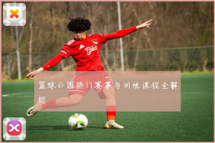 篮球公园热门赛事与训练课程全解析