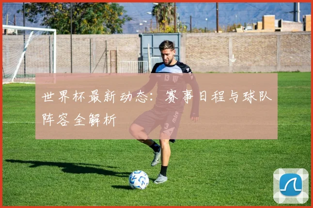 世界杯最新动态：赛事日程与球队阵容全解析
