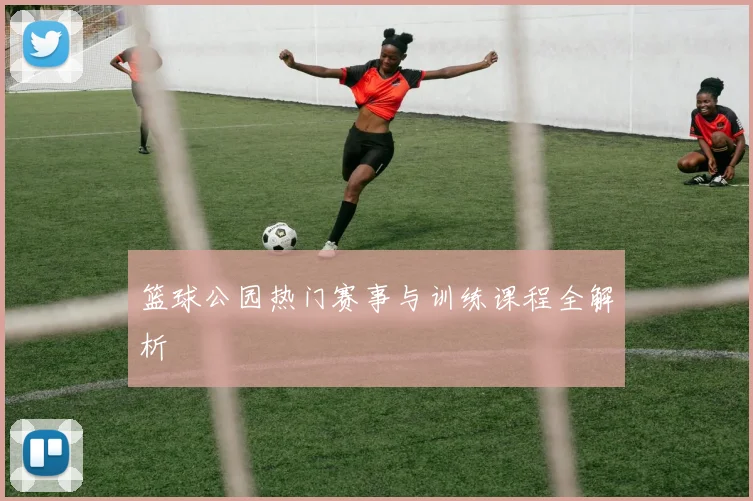 篮球公园热门赛事与训练课程全解析