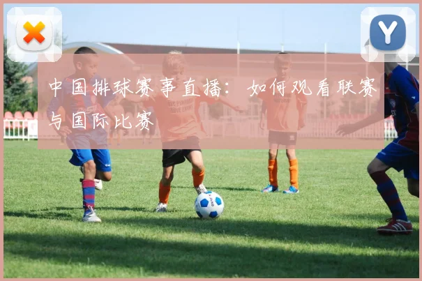 中国排球赛事直播：如何观看联赛与国际比赛